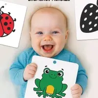 Набор картонных книжек-гармошек "Смотрим вместе", 6 шт.