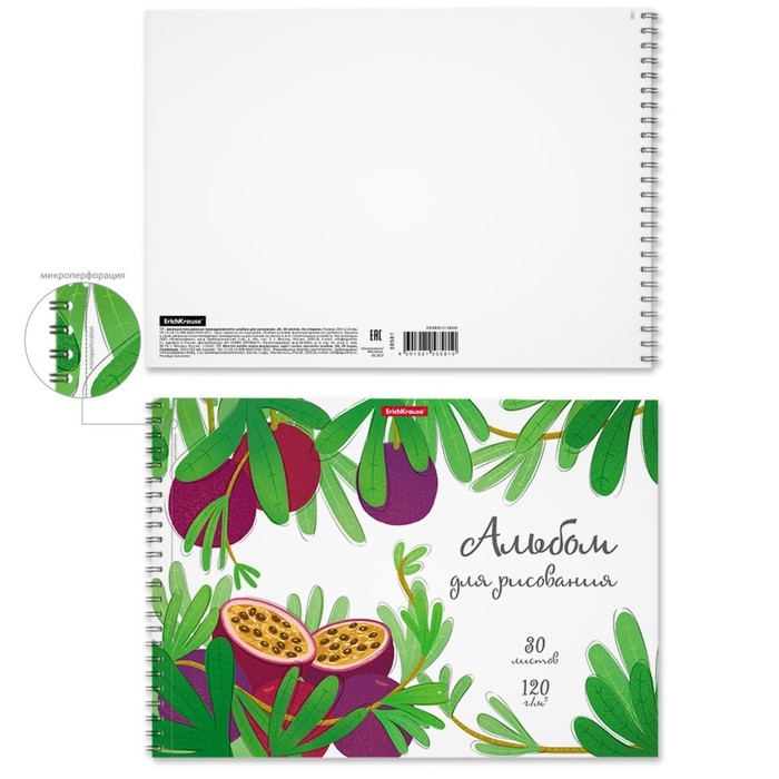 Альбом для рисования А4, 30 листов на спирали, ErichKrause Juicy Fruits, блок 120 г/м², 100% белизна, перфорация для отрыва, твёрдая подложка Альбом для рисования А4, 30 листов на спирали, ErichKrause Juicy Fruits, блок 120 г/м², 100% белизна, перфорация для отрыва, твёрдая подложка
