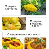 Семена Патиссон "Солнышко", 0,5 г