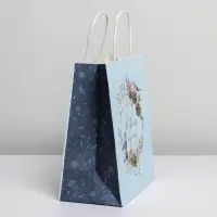 Пакет подарочный новогодний крафтовый &laquo;Морозное утро&raquo;, 22 х 25 х 12 см