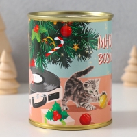 Подарочные носки в банке &laquo;Множество возможностей&raquo;, (внутри носки махровые женские)