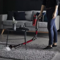 Беспроводной пылесос X-Force Flex 12.60 Animal Care TY98A9WO