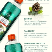 Мужской шампунь 2 в 1, 400 мл