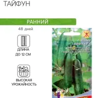 Семена Огурец "Тайфун" F1, раннеспелый, партенокарпический, 5 шт