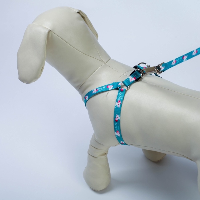 Комплект &laquo;Хочу на ручки&raquo;, шлейка 24-34х1 см, поводок 120 см