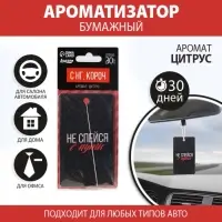 Ароматизатор в машину новогодний &laquo;Не спейся с пути&raquo;, аромат цитруса
