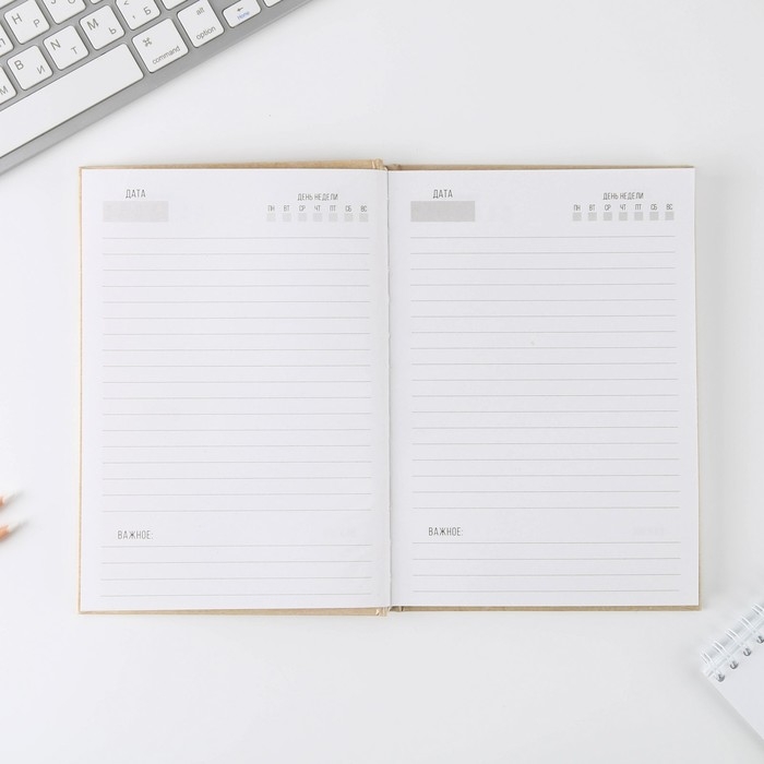 Ежедневник &laquo;Товарищ, мысль свою запиши, план выполни&raquo; А5, 80 листов