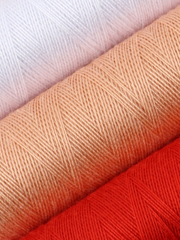 Набор ниток &laquo;Багровый румянец&raquo;, 40/2, 200 м, 5 шт, цвет разноцветный