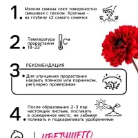 Семена цветов Календула махровая "Ред виз блэк центр", 0,3 г