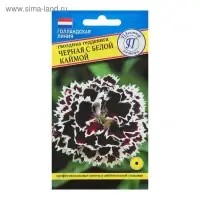 Семена цветов Гвоздика "Черная с белой каймой", 15 шт