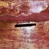 Новый год. Символ 2025. Копилка "Змея в мешке" 21х18х23см, цветная