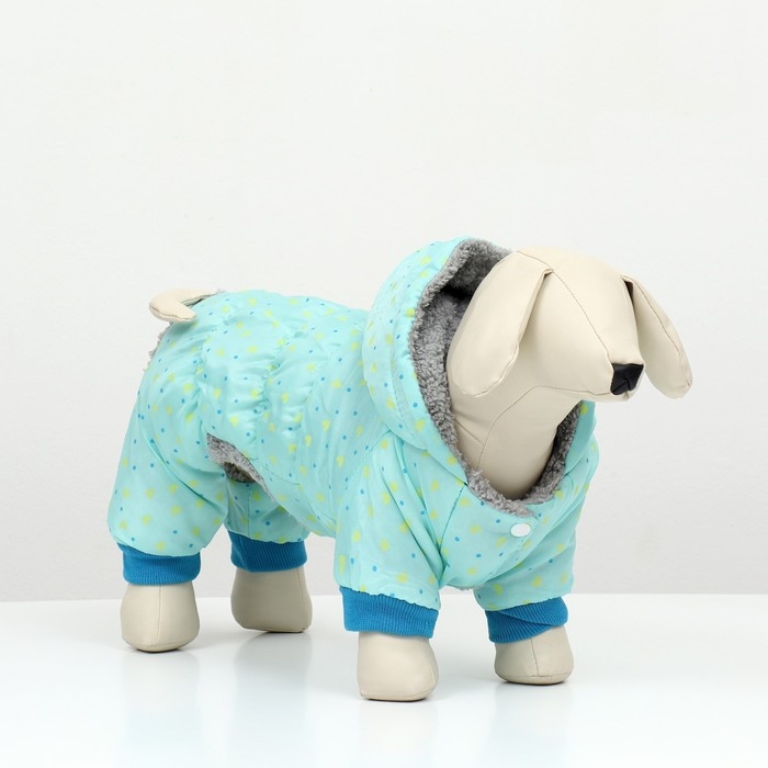 Комбинезон Комбинезон "нежный путь" на меховом подкладе, размер XL (ДС 40, ОШ 40, ОГ 50 см), голубой