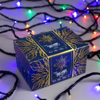 Гирлянда &laquo;Нить&raquo; 10 м, IP44, УМС, тёмная нить, 100 LED, свечение мульти, 220 В