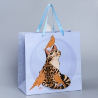 Пакет подарочный, упаковка, «Кот», 30 х 30 х 15 см Пакет подарочный, упаковка, «Кот», 30 х 30 х 15 см
