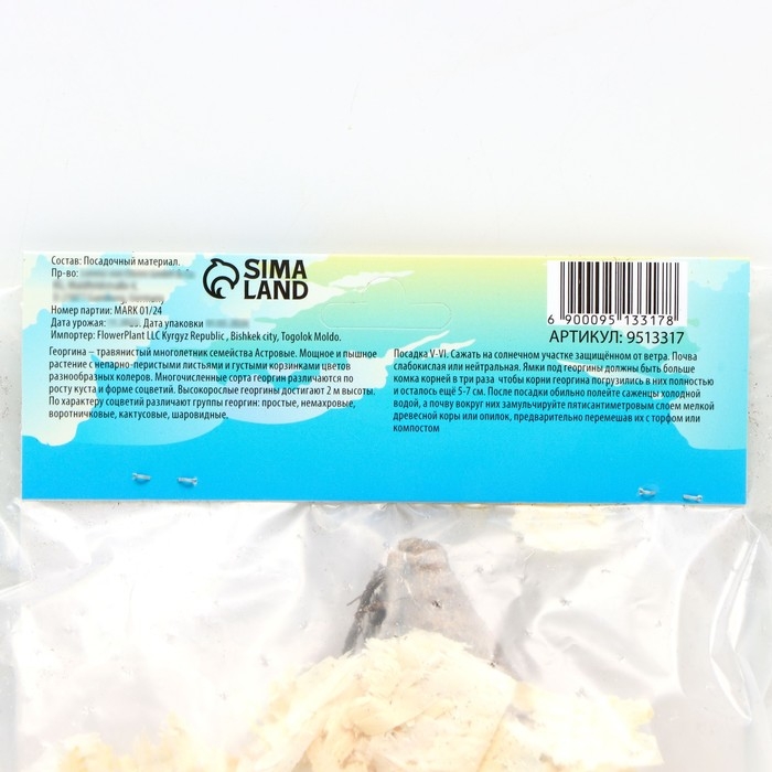 Георгина Кактусовидная "SPASSMACHER" , р-р I, 1 шт,