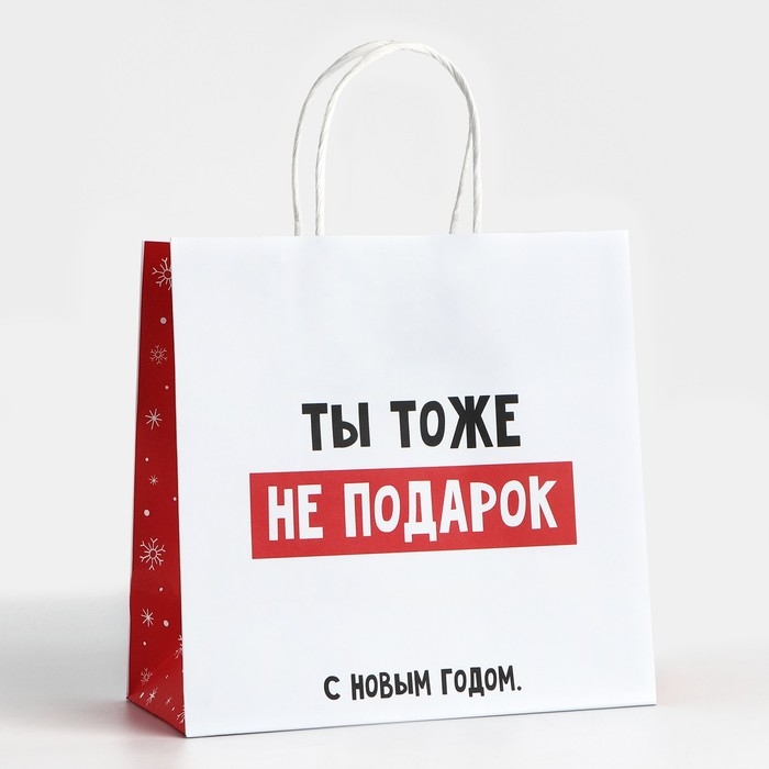 Пакет подарочный новогодний &laquo;Ты тоже не подарок&raquo;, 22 х 22 х 11 см