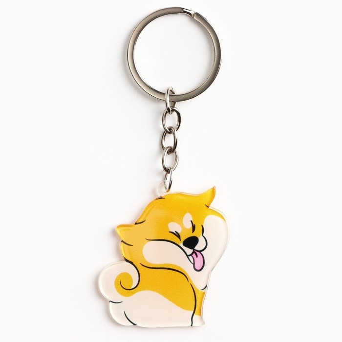 Брелок для ключей акриловый «Я не подарок», 9.7 х 4.3 см Брелок для ключей акриловый «Я не подарок», 9.7 х 4.3 см