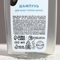 Подарочный набор косметики &laquo;Новых побед в Новом Году!&raquo;, гель для душа и шампунь для волос, 2 х 250 мл, ЧИСТОЕ СЧАСТЬЕ