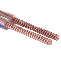 Кабель акустический REXANT BLUELINE, 2 х 2,00 мм&sup2;, прозрачный, мини-бухта, 10 м