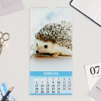 Календарь на ригеле "Малыши в природе" 2025 год, 16,5 х 34 см Календарь на ригеле "Малыши в природе" 2025 год, 16,5 х 34 см