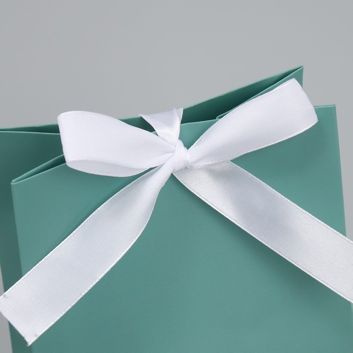 Пакет подарочный с лентой, упаковка, &laquo;Тиффани&raquo;, 13 х 19 х 9 см