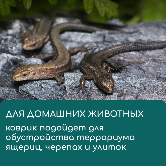 Коврик из кокосового волокна, для выращивания микрозелени, 50 &times; 25 см, Greengo