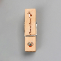 Декор для творчества дерево "Прищепка - Светлой Пасхи!" набор 10 шт