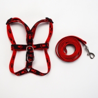 Комплект "Большая лапа", ширина 1,5 см, поводок 120 см, шлейка 28-42 см, красно-чёрный Комплект "Большая лапа", ширина 1,5 см, поводок 120 см, шлейка 28-42 см, красно-чёрный