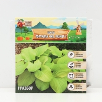 Хоста Tortilla Chip, корневище в пакете с торфогрунтом, р-р I, размер L,1 шт.