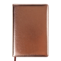 Ежедневник недатированный, обложка ПВХ, формат А5, 140 л, клетка, металлик Бронза Ежедневник недатированный, обложка ПВХ, формат А5, 140 л, клетка, металлик Бронза