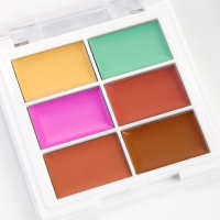 Палетка консилеров для лица, 6 цв, водостойкая Палетка консилеров для лица, 6 цв, водостойкая