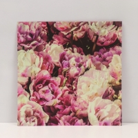 Фотофон двусторонний картон плотность 350 гр "Цветы" 50х50 см Фотофон двусторонний картон плотность 350 гр "Цветы" 50х50 см