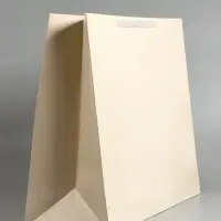 Пакет ламинированный горизонтальный "Молочный", XXL  61 х 46 х 20 см