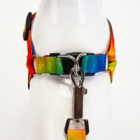 Комплект "Радуга", капрон, поводок 120 х 1,5 см, ОГ 24-34 см, разноцветный