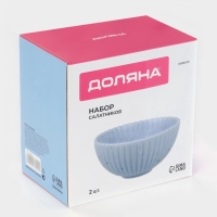 Салатники Доляна «Коралл», d=16.1 см, набор 2 шт., керамика, голубые Салатники Доляна «Коралл», d=16.1 см, набор 2 шт., керамика, голубые