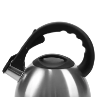 Чайник для плиты со свистком 2,2 л. для индукции