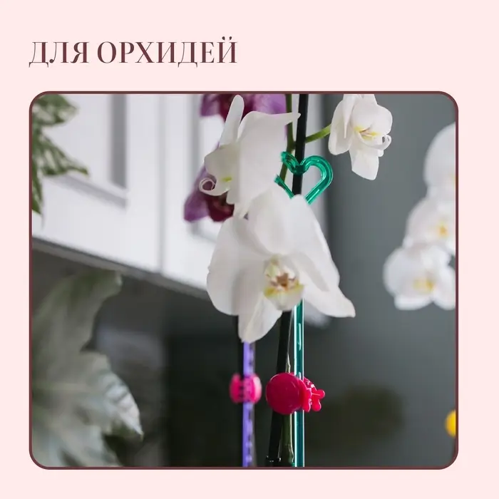 Опора для орхидей, h=44 см, пластик, бирюзовая, МИКС