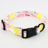 Ошейник &laquo;Сочное настроение&raquo;, застёжка - фастекс, 2.5 см, 40-55 см