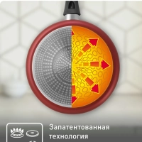 Набор сковород Daily Expert 22 24 см, Франция