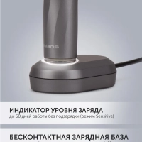 Электрическая зубная щетка PETB 0105 TC