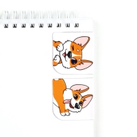 Подарочный набор блокнот А6, 32 листа, наклейки, магнитные закладки &laquo;Для тех, у кого лапки&raquo;