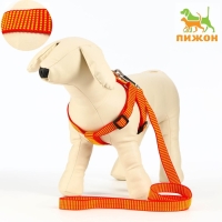 Комплект амуниции рельефный, 2 см, поводок 120 см,красно-жёлтый