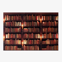 Фотофон винил "Книжные полки" 150х210 см Фотофон винил "Книжные полки" 150х210 см