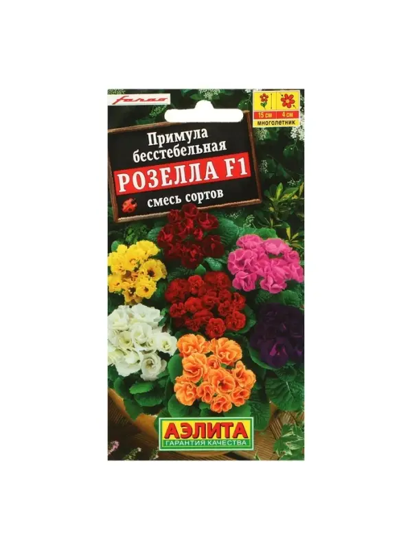 Набор семян Примула "Розелла", смесь окрасок, F1, 4 шт.