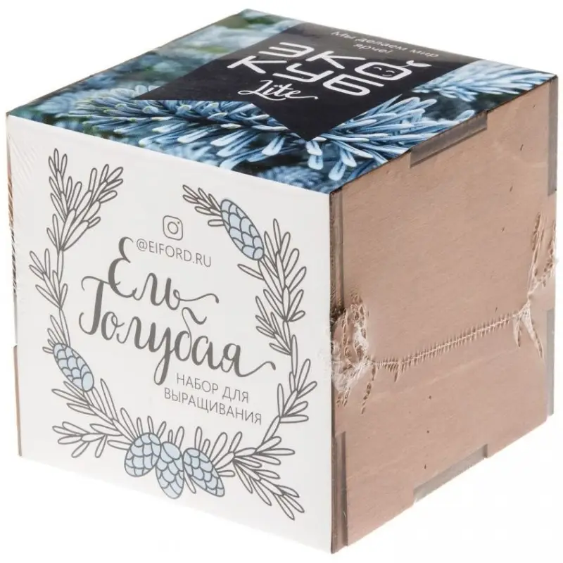 Набор для выращивания &laquo;Экокуб Lite&raquo;, ель голубая