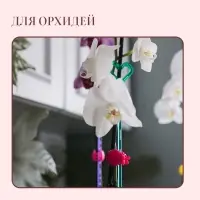 Опора для орхидей, h=44 см, пластик, бирюзовая, МИКС