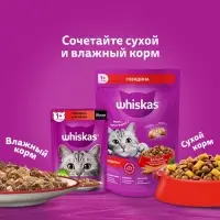 Сухой корм Whiskas для кошек, курица/индейка, подушечки, 1,3 кг