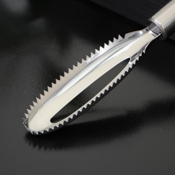 Рыбочистка Доляна &laquo;Металлик&raquo;, 16,5 см, цвет серебристый