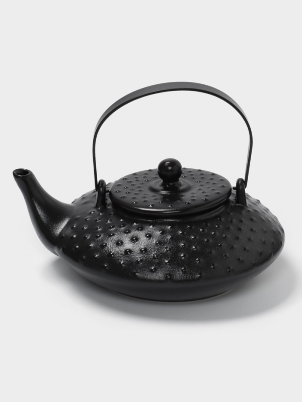 Чайник заварочный с ситом 0,75 л, Magistro Black Swan, черный