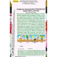 Семена цветов Примула Моя прекрасная леди, смесь сортов Мн С. Farao Золотая серия, Ц/П,7 шт. 1094587